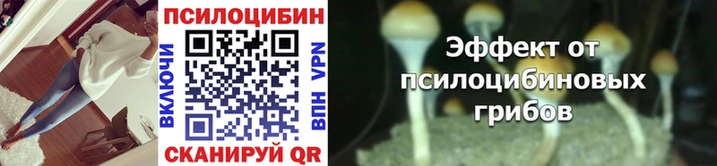 Галлюциногенные грибы Cubensis  где купить наркоту  Щучье 